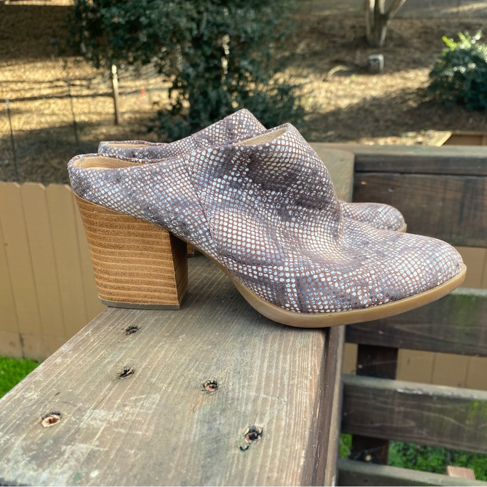 Born mule size 7